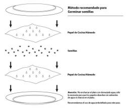 Metodo_OVNI_para_germinacion.jpg